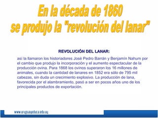 REVOLUCIÓN DEL LANAR:REVOLUCIÓN DEL LANAR:
así la llamaron los historiadores José Pedro Barrán y Benjamín Nahum por
el cambio que produjo la incorporación y el aumento espectacular de la
producción ovina. Para 1868 los ovinos superaron los 16 millones de
animales, cuando la cantidad de lanares en 1852 era sólo de 795 mil
cabezas, sin duda un crecimiento explosivo. La producción de lana,
favorecida por el alambramiento, pasó a ser en pocos años uno de los
principales productos de exportación.
 