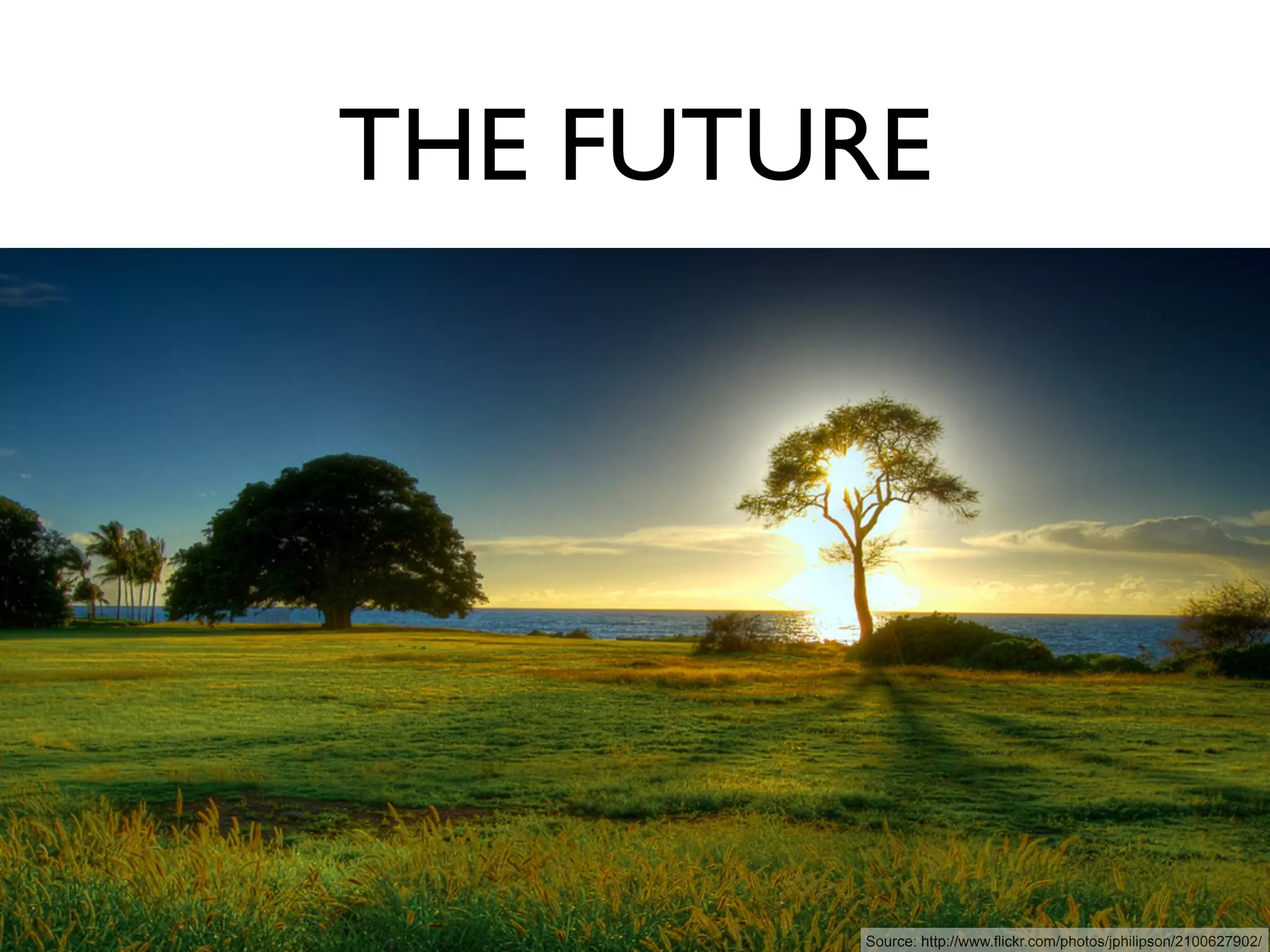 THE FUTURE




        Source: http://www.flickr.com/photos/jphilipson/2100627902/
 