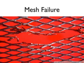 Mesh Failure




          Source: http://www.flickr.com/photos/28481088@N00/3817317092/
 
