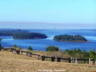 Río Uruguay - Paysandú 