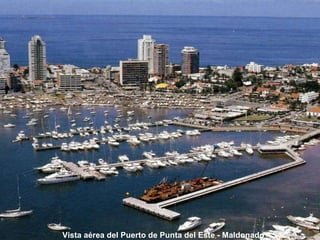 Vista aérea del Puerto de Punta del Este - Maldonado 