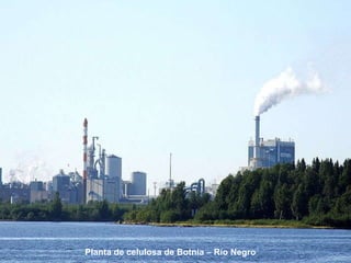 Planta de celulosa de Botnia – Río Negro 