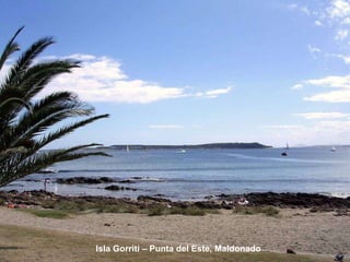 Isla Gorriti – Punta del Este, Maldonado 