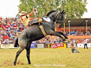 Rural del Prado - Montevideo 