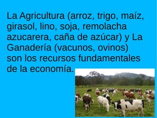 La Agricultura (arroz, trigo, maíz,
girasol, lino, soja, remolacha
azucarera, caña de azúcar) y La
Ganadería (vacunos, ovinos)
son los recursos fundamentales
de la economía.
 