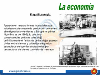 Aparecieron nuevas formas industriales que
valorizaron plenamente la producción de carnes
al refrigerarlas y venderlas a Europa (el primer
frigorífico es de 1905), lo que tuvo
consecuencias políticas pues alejó
definitivamente el fantasma de las viejas guerras
civiles entre blancos y colorados ya que los
estancieros se oponían ahora a ellas por
destructoras de bienes con valor de mercado
Frigorífico Anglo
Sección Conservas y muestrario de productos envasados por el Frigorífico Anglo, ubicado en la ciudad de Fray
Bentos en el Departamento de Río Negro.
 