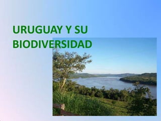 URUGUAY Y SU BIODIVERSIDAD 