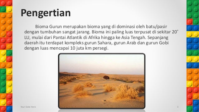 Bioma Gurun Padang Rumput Dan Sabana Geografi