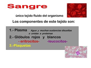 Los componentes de este tejido son:
1.- Plasma Agua y muchas sustancias disueltas
o unidas a proteínas
2.- Glóbulos rojos y blancos
- eritrocitos- -leucocitos-
3.-Plaquetas
único tejido fluido del organismo
 