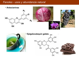 Fenoles - usos y abundancia natural Antocianinas Epigalocatequin galato 