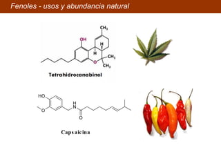 Fenoles - usos y abundancia natural Capsaicina 