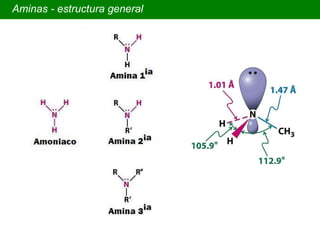 Aminas - estructura general 