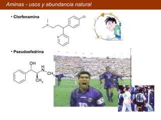 Clorfenamina Pseudoefedrina Aminas - usos y abundancia natural 
