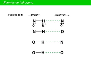 Puentes de hidrogeno Puentes de H     DADOR   ACEPTOR  . 