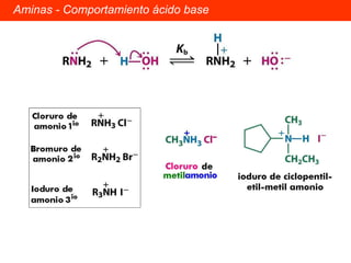 Aminas - Comportamiento ácido base 