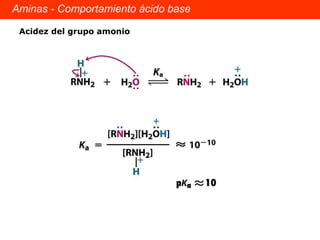 Aminas - Comportamiento ácido base Acidez del grupo amonio 