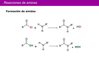 Reacciones de aminas Formación de amidas  