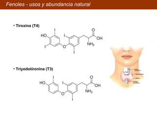 Fenoles - usos y abundancia natural Triyodotironina (T3) Tiroxina (T4) 