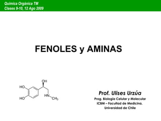 FENOLES y AMINAS Prof. Ulises Urzúa Prog. Biología Celular y Molecular ICBM – Facultad de Medicina,  Universidad de Chile Química Orgánica TM  Clases 9-10, 12 Ago 2009 