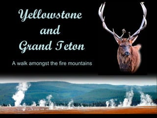 Yellowstone  and  Grand Teton A walk amongst the fire mountains First created 12 Oct 2010. Version 2.0 London  Jerry Tse All rights reserved 
