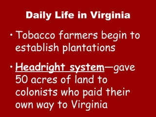 Daily Life in Virginia Tobacco farmers begin to establish plantations Headright system —gave 50 acres of land to colonists who paid their own way to Virginia 