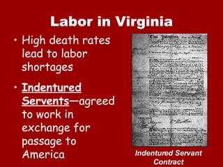 Labor in Virginia High death rates lead to labor shortages Indentured Servents —agreed to work in exchange for passage to America Indentured Servant Contract 