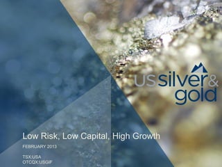 Low Risk, Low Capital, High Growth
FEBRUARY 2013

TSX:USA
OTCQX:USGIF
 