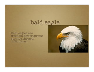 Us Symbols6.Room2.3.Key