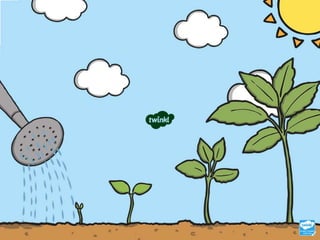 us-t-2546339-life-cycle-of-a-plant-powerpoint_ver_2.pptx