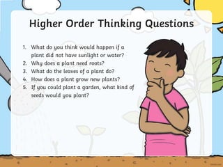 1. What do you think would happen if a
plant did not have sunlight or water?
2. Why does a plant need roots?
3. What do the leaves of a plant do?
4. How does a plant grow new plants?
5. If you could plant a garden, what kind of
seeds would you plant?
Higher Order Thinking Questions
 