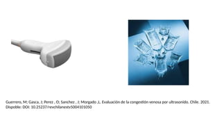 Guerrero, M; Gasca, J; Perez , O; Sanchez , J; Morgado ,L. Evaluación de la congestión venosa por ultrasonido. Chile. 2021.
Dispoble: DOI: 10.25237/revchilanestv5004101050
 