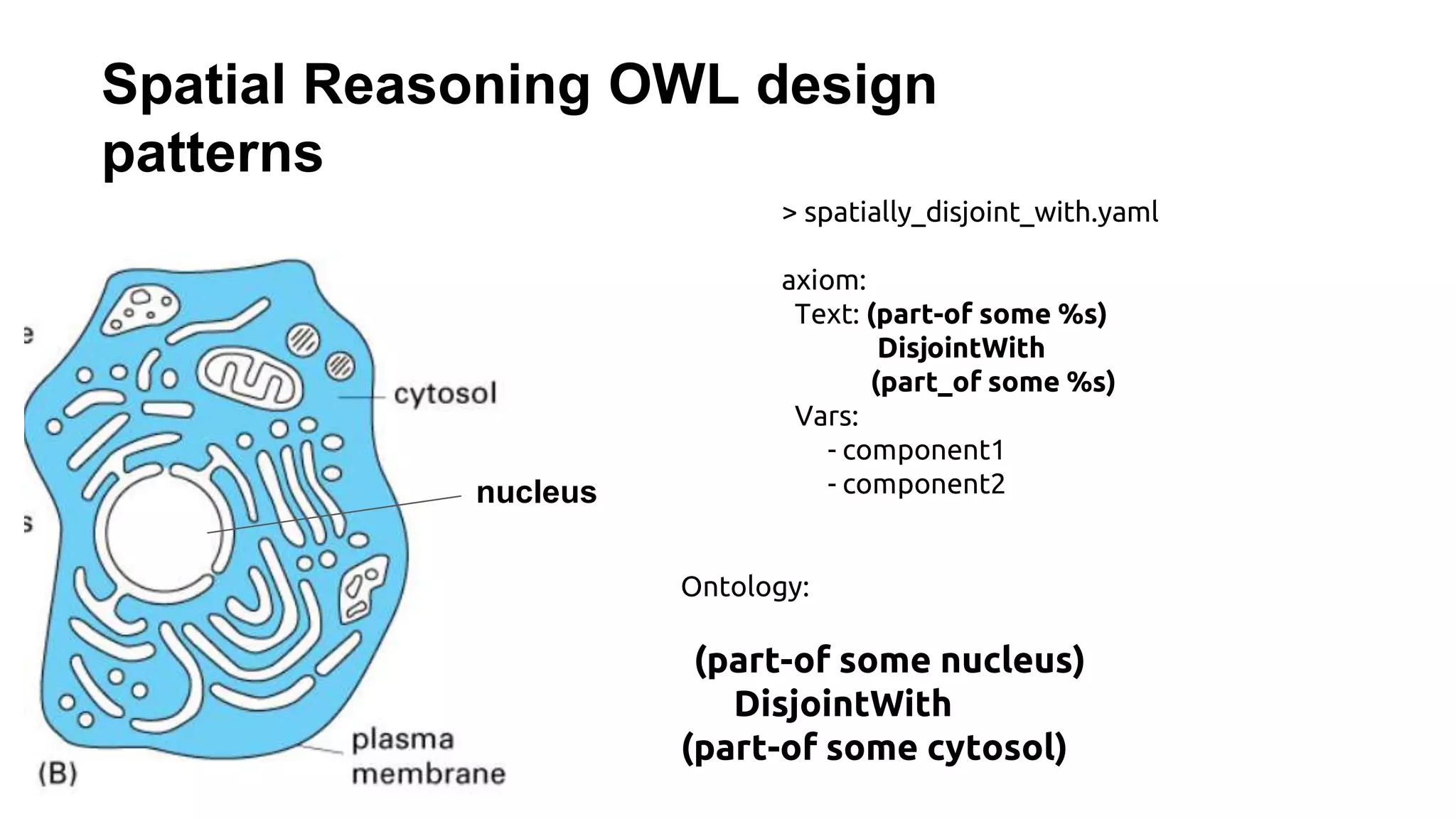 Spatial Reasoning OWL design
patterns
nucleus
> spatially_disjoint_with.yaml
axiom:
Text: (part-of some %s)
DisjointWith
(part_of some %s)
Vars:
- component1
- component2
Ontology:
(part-of some nucleus)
DisjointWith
(part-of some cytosol)
 