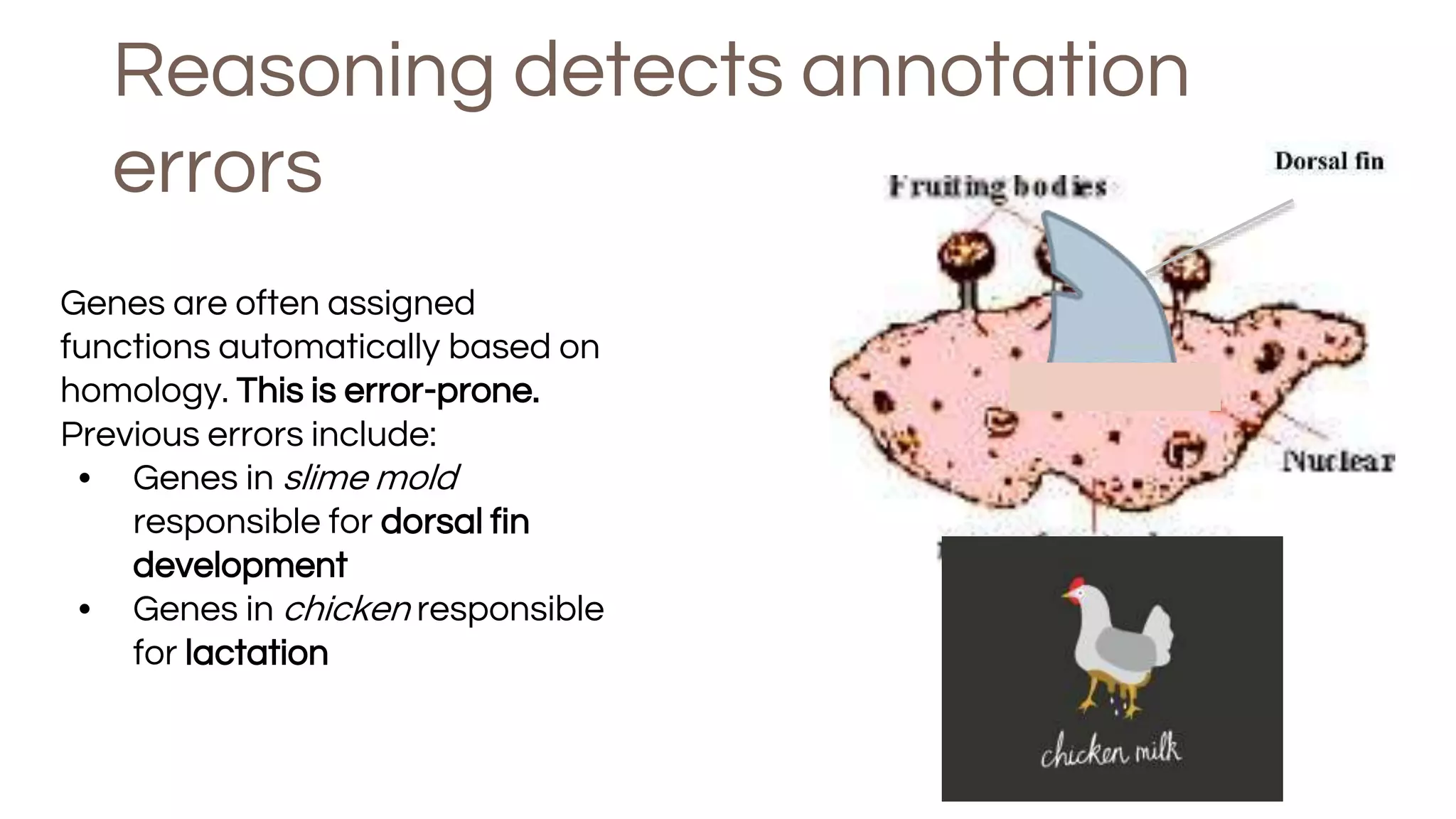 Reasoning detects annotation
errors
Genes are often assigned
functions automatically based on
homology. This is error-prone.
Previous errors include:
• Genes in slime mold
responsible for dorsal fin
development
• Genes in chicken responsible
for lactation
 