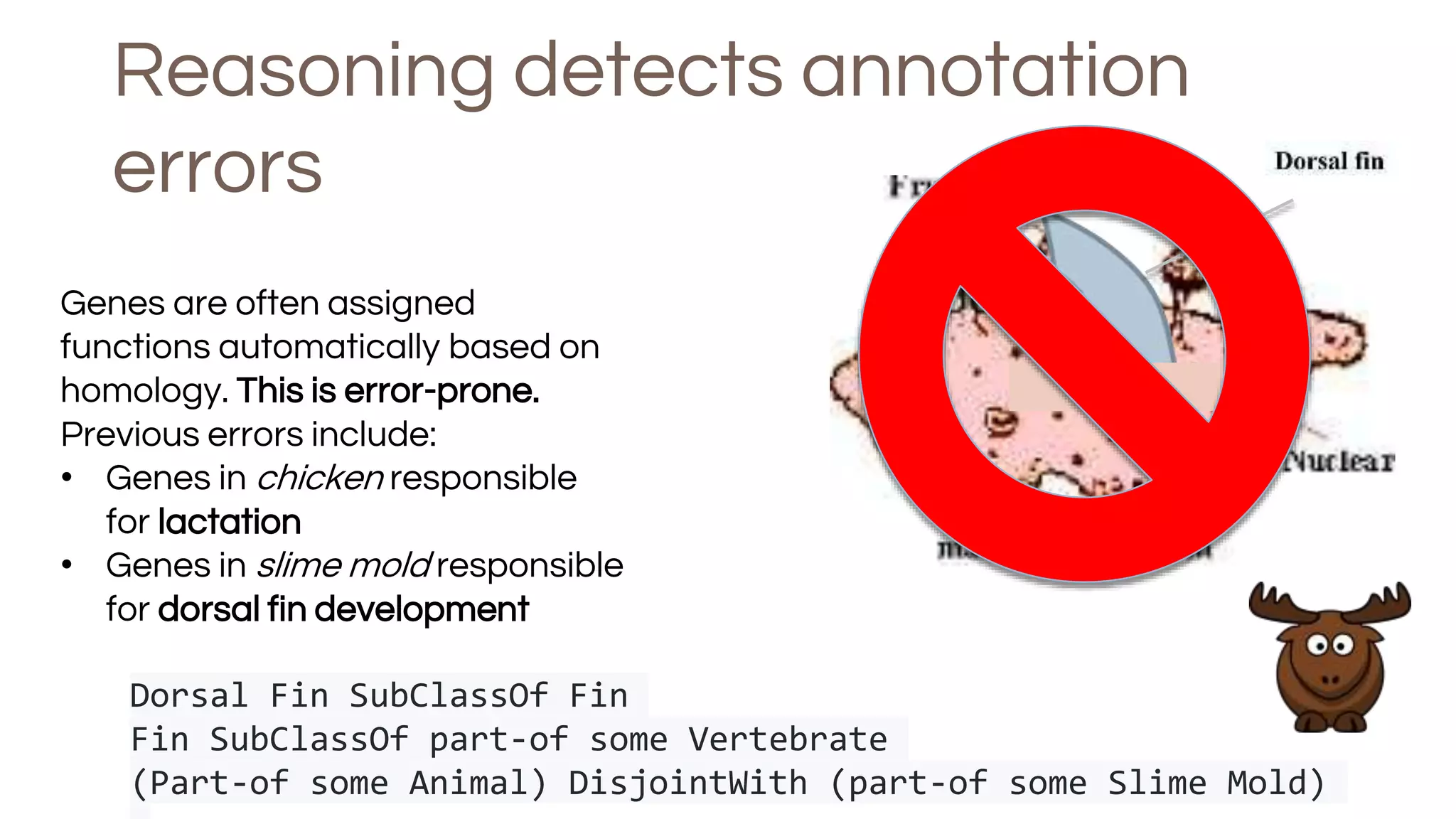 Reasoning detects annotation
errors
Genes are often assigned
functions automatically based on
homology. This is error-prone.
Previous errors include:
• Genes in chicken responsible
for lactation
• Genes in slime mold responsible
for dorsal fin development
Dorsal Fin SubClassOf Fin
Fin SubClassOf part-of some Vertebrate
(Part-of some Animal) DisjointWith (part-of some Slime Mold)
 