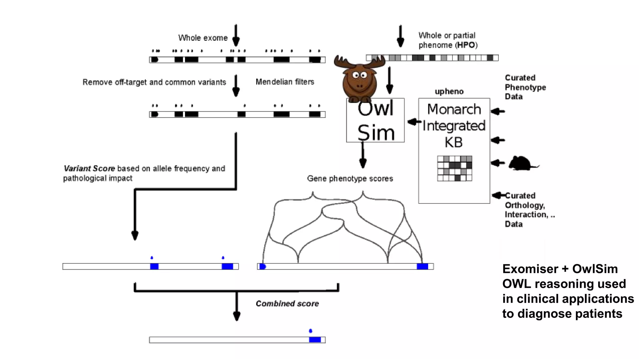 Exomiser + OwlSim
OWL reasoning used
in clinical applications
to diagnose patients
 