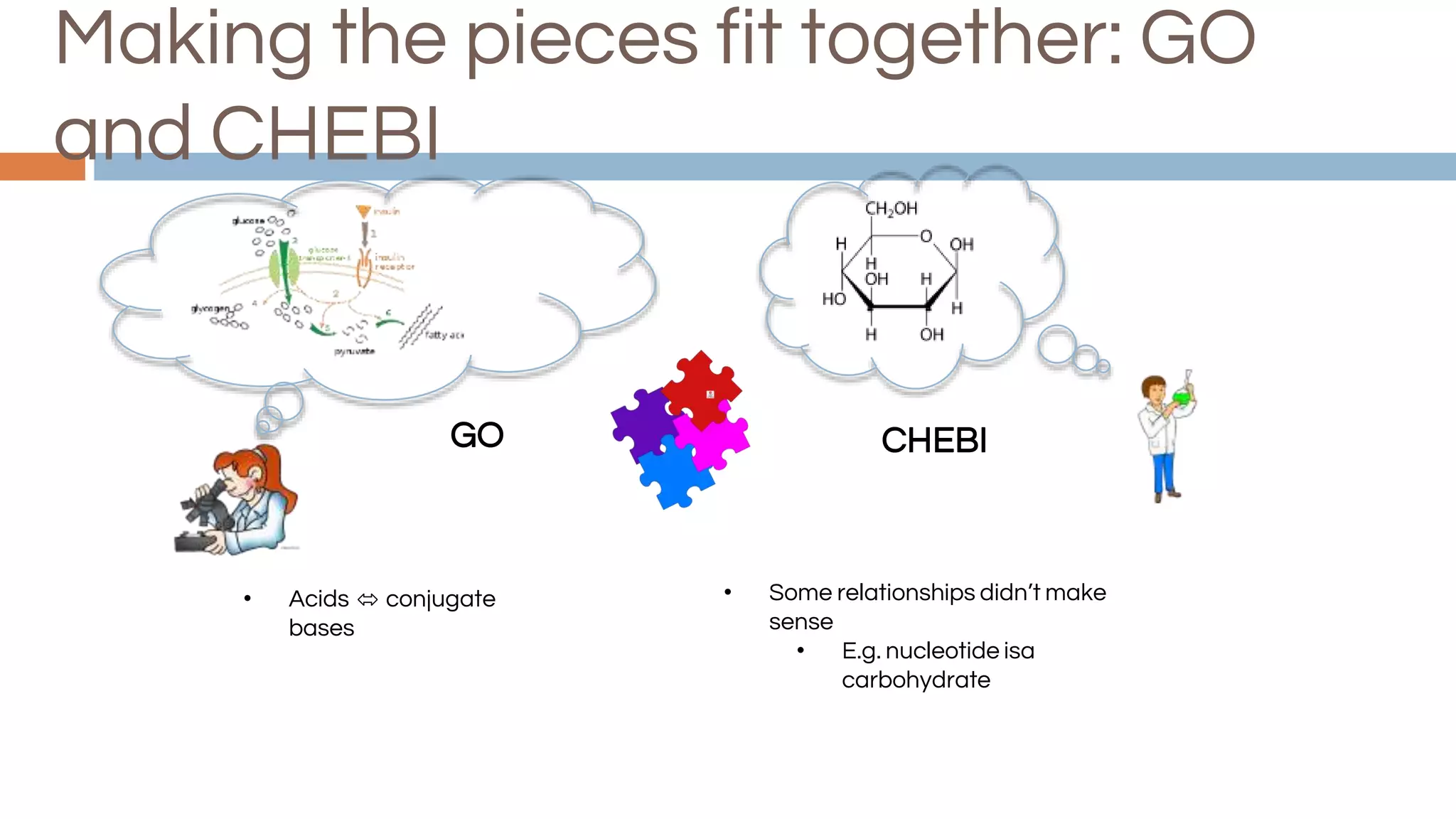 Making the pieces fit together: GO
and CHEBI
GO CHEBI
• Some relationships didn’t make
sense
• E.g. nucleotide isa
carbohydrate
• Acids ⬄ conjugate
bases
 