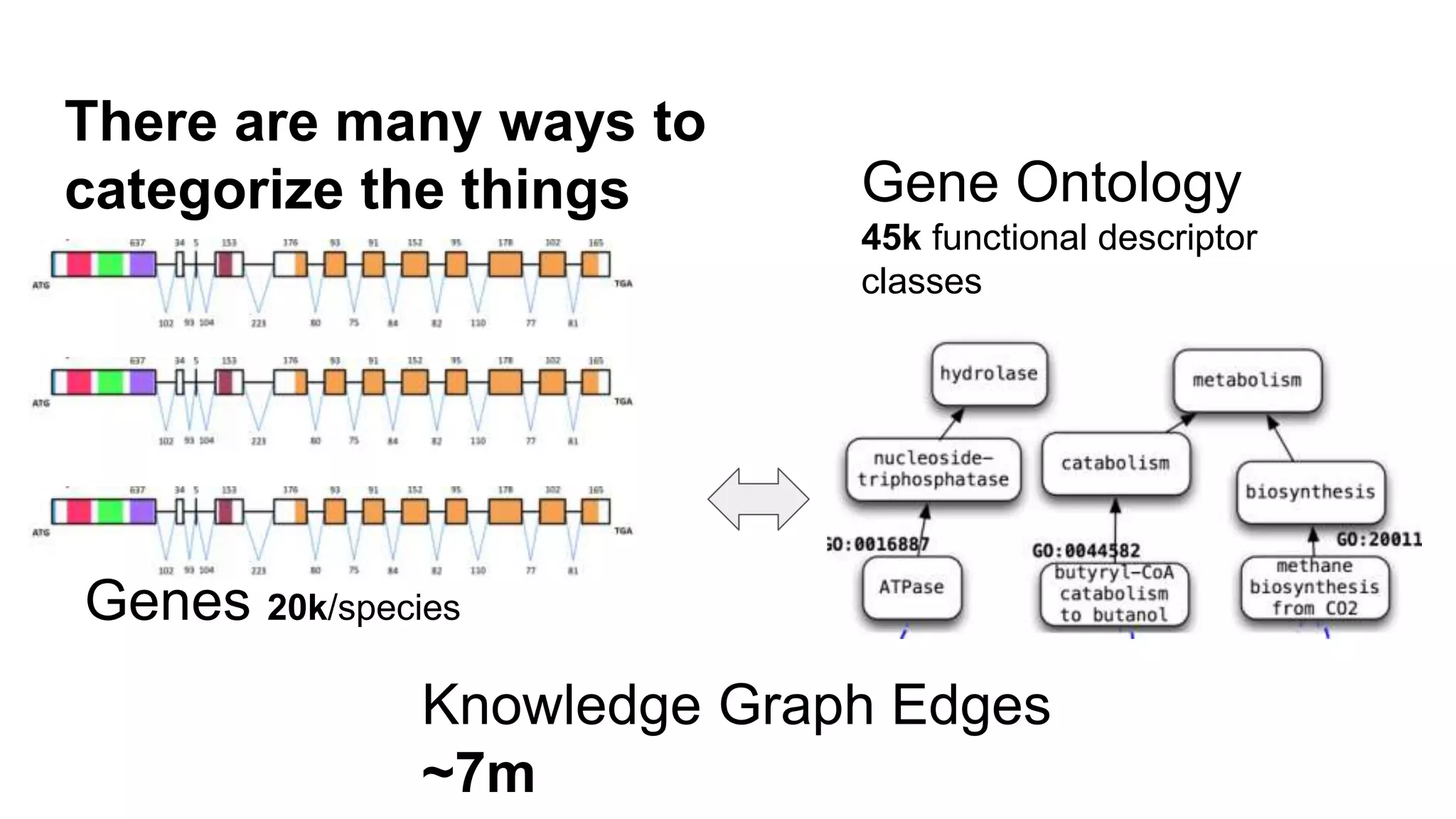 There are many ways to
categorize the things
Genes 20k/species
Gene Ontology
45k functional descriptor
classes
Knowledge Graph Edges
~7m
 