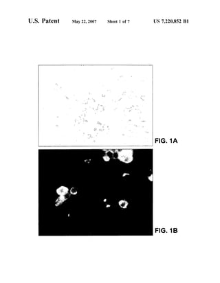 U.S. Patent May 22, 2007 Sheet 1 of 7 US 7,220,852 B1
FIG. 1A
FIG. 1B
 