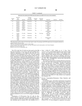 US 7,220,852 B1
29 30
TABLE 1-continued
Specimens from patients with SARS that were positive for SARS-CoV by one or more methods'.
Exposure Findings
Patient and on Chest Hospital
No. Setting Age/Sex Radiograph ization
2 Vietnam, Adult Pneumonia Yes
hospital unknown
3 Vietnam, Adult Pneumonia Yes
hospital unknown
4 Vietnam, Adult Pneumonia Yes
hospital unknown
5 Vietnam, Adult Pneumonia Yes
hospital unknown
6 Vietnam, 46 yr?M Pneumonia Yes
hospital
7 Canada, 43 yr?M Pneumonia Yes
family
8 Taiwan, 51 yr/F Pneumonia Yes
family
9 Hong AdultF Pneumonia Yes
Kong,
hotel
Serologic
Results Specimen Isolation RT-PCR
haryngeal
wash
haryngeal
wash
haryngeal
wash
haryngeal
wash
Nasal,
oropharyngeal
swabs
Lung, bone
8OW
Sputum
Oropharyngeal
wash
*Plus signs denote positive results, and minus signs negative results. The serologic and RT-PCR assays were not necessarily performed on
samples obtained at the same time.
This was a late specimen, antibody positive at first sample.
Travel included China, Hong Kong (hotel), and Hanoi (the patient was the index patient in the French Hospital).
SIsolation was from the kidney only.
Isolation was from the oropharyngeal only.
The CPE in the Vero E6 cells was first noted on the fifth
day post-inoculation; it was focal, with cell rounding and a
refractive appearance in the affected cells that was soon
followed by cell detachment (FIG. 1A). The CPE spread
quickly to involve the entire cell monolayer within 24 to 48
hours. Subculture of material after preparation ofa master
seed Stock(used for Subsequentantigen production) resulted
in the rapid appearance of CPE, as noted above, and in
complete destruction of the monolayer in the inoculated
flasks within 48 hours. Similar CPE was also noted in four
additional cultures: three cultures of respiratory specimens
(two oropharyngeal washes and one sputum specimen) and
one culture of a suspension of kidney tissue obtained at
autopsy. In these specimens, the initial CPE was observed
between day two and day fourand, as noted above, the CPE
rapidly progressed to involve the entire cell monolayer.
Tissue culture samples showing CPE were prepared for
electron-microscopical examination. Negative-stain elec
tron-microscopical specimens were prepared by drying cul
ture supernatant, mixed 1:1 with 2.5% paraformaldehyde,
onto Formvarcarbon-coated grids and staining with 2%
methylamine tungstate. Thin-section electron-microscopical
specimens were prepared by fixing a washed cell pellet with
2.5% glutaraldehyde and embedding the cell pellet in epoxy
resin. In addition, a master seed Stock was prepared from the
remaining culture Supernatant and cells by freeze-thawing
the culture flask, clarifying the thawed contents by centrifu
gation at 1000xg, and dispensing the Supernatant into ali
quots stored in gas phase over liquid nitrogen. The master
seed stock was subcultured into 850-cm roller bottles of
Vero E6 cells for the preparation offormalin-fixed positive
control cells for immunohistochemical analysis, mixed with
normal Vero E6 cells, and gamma-irradiated forpreparation
of spot slides for IFA tests or extracted with detergent and
gamma-irradiated for use as an ELISA antigen for antibody
testS.
Examination of CPE-positive Vero E6 cells by thin
section electron microscopy revealed characteristic coro
navirus particles within the cisternae ofthe rough endoplas
mic reticulum and in vesicles (FIG. 2A) (Becker et al., J.
30
35
40
45
50
55
60
65
Virol. 1:1019–27, 1967: Oshiro et al. J. Gen. Virol.
12:161-8, 1971). Extracellular particles were found in large
clusters and adhering to the surface of the plasma mem
brane. Negative-stain electron microscopy identified coro
navirus particles, 80 to 140 nm in diameter, with 20- to
40-nm complex surface projections Surrounding the periph
ery (FIG. 2B). Hemagglutinin esterase-type glycoprotein
projections were not seen.
The isolation andgrowth ofa human-derived coronavirus
in Vero E6 cells were unexpected. The previously known
human coronaviruses are notably fastidious, preferring
select cell lines, organ culture, or Suckling mice for propa
gation. The only human or animal coronavirus which has
been shown to grow in Vero E6 cells is PEDV, and it requires
the addition oftrypsin to culture medium for growth in the
cells. Moreover, PEDV adapted to growth in Vero E6 cells
results in a strikingly different CPE, with cytoplasmic vacu
olesandtheformation oflarge syncytia. Syncytial cells were
only observed occasionally in monolayers of Vero E6 cells
infected with the SARS-CoV; they clearly do not represent
the dominant CPE.
Reverse Transcription-Polymerase Chain Reaction and
Sequencing
For RT-PCR assays, cell-culture supernatants were placed
in lysis buffer. RNA extracts were prepared from 100 ul of
each specimen (or culture Supernatant) with the automated
NucliSens extraction system (bioMérieux, Durham, N.C.).
Initially, degenerate, inosine-containing primers IN-2 (+)
5'GGGTTGGGACTATCCTAAGTGTGA3' (SEQ ID NO:
34) and IN-4 (-) 5'TAACACACAACICCATCA TCA3'
(SEQ ID NO: 35) were designed to anneal to sites encoding
conserved amino acid motifs that were identified on the
basis of alignments of available coronavirus ORF1a,
ORF1b, S, HE, M, and N gene sequences. Additional,
SARS-specific, primers Cor-p-F2 (+) 5'CTAACATGCT
TAGGATAATGG3' (SEQ ID NO: 13), Cor-p-F3 (+)
5'GCCTCTCTTGTTCTTGCTCGC3' (SEQ ID NO: 14),
and Cor-p-R1 (-) 5'CAGGTAAGCGTAAAACTCATC3
(SEQ ID NO: 15) were designed as sequences were gener
 
