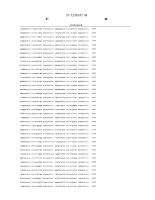 citgcatgttg
tatgaaaatt
ggtgctaaac
attgcagtica
aa.gc.ctagag
gaggagaaat
gatgaggitta
gctgatatca
totttccttg
acttgttgttg
ttgaagaaag
tatacacttg
ccttcagaag
gaaatgcttg
gccataatgg
gacitatggtg
aagctgaact
tittaatcttg
gtatcatcac
totgaggagc
to aggacago
cacactctgg
citaaagagtc
alacactaatc.
ccaa.catact
aagactittct
catacticttg
tggaaattitc
ttgtctagtg
caagaggott
gottacagta
citacagoatg
ggtoagaaaa
tatgataatc
tatctagtac
ttacagdaag
tacactcata
atgtcagagt
accatcaa.gc
ttggatgggt
ttggacctaa
tdaatticaca
cactitcagtc
atgacaaag.c
tggaagcacc
citgtcgtaca
ccacaiacact
atggtaagct
agalaggatgc
taataccctic
tgc.cagttga
aggaagctaa
cacctaatgc
citcatgctga
calaccatc.ca
tdcgattott
citctaaatga
alagaggctgc
cagatgctgt
actittgtaga
gtacagagtt
agagcc.ccgt.
tottatccct
to cacacaca
tggatggtgc
ttgtactacc
atgagagttt
citcaagttgg
ttittattago
attatagagc
ataaaactgt
citaatttgga
citactacctt
ttalagacagg
aacaagagtc
gtacattctt
taactogctaa
acaaaggacc
citgtgtcgta
attataaaaa.
47
cctaaatgca
ggacatctta
tttacaagtg
totttatgag
taaacaagag
gaa.gc.ctgtc
ggaagaaact
ttaccatgat
accittacatg
caaaaaggct
tgagtatata
gactgctott
taaggaagag
agagaCaaga
acgtaagtat
cittittatact
gcc.gcttgtc
gcgctgtatg
tactacatat
aacagitttct
aggtgttgaa
cgagtttcat
gCgggaggitt
gcttgtggat
tgatgttaca
tagtgatgac
tottggtagg
tggitttaact
actitcaiacag
cc.gtgctggit
tgg.cgagctt
atctgcaaag
aacgggtgta
tgtttccatt
ttcttttgtt
atgtgcgaat
ggaga.cccitc
agtgactgat
taaactcgat
ggataatgct
ggtgaggaca
cittgcaccat
tgcgtgcaga
caggttgtca
gagcoaccala
gatgtgaagc
aagtttctta
totcagaa.ca
gtaggtgatg
ggtggcacta
accacgtacc
aagaaatgca
attctaggaa
aaattaatgc
aaaggaatta
agtaaagagc
acaatgccala
cgttctotta
aatggatacc
ttggctggct
tittcttaa.gc
cittgacggtg
aagacitataa
atgtctatoga
aaaattaaac
acactacgta
tacatgtctg
tdaattalaat
cittgaagttca
gatgctgcta
ggtgatgtca
cgagttctta
gaagctgtga
ccatgtgttgt
atgatgtctg
gagtacactg
tatcgtattg
gttittctaca
ggagttacitt
tactatacag
US 7,220,852 B1
-continued
to cagottct talaggcagoa
tgttgtcago aggcatattt
cggttcgtac acaggttitat
tggattatct tataacctg
acacagaaga titccaaaact
caaaaattaa gqcctgcatt
ccaataagtt acticttgttt
tgcttagagg togaagatatg
ttatcactag togtgatatc
citgagatgct citcaagagct
citggacaagg atgtgctggit
aatctgcatt titatgtacta
citgitatcctg gaatttgaga
citatatgcat ggatgttaga
aaattcaaga gggcatcgtt
citgtagctitc tattattacg
ttggittatgt gacacatggit
aagcticcitgc cqtagtgtca
toactitcgtc atcaaagaca
cittacagaga ttggtoctat
gtggtgacaa aattgttgtac
aggttctitt.c acttgacaaa
aagtgttcac aactgtggac
catatggaca gcagtttggit
citcatgtaaa toatgagggit
gtgaagctitt cqagtactac
citttaalacca cacaaagaaa
gggctgataa caattgttat
aattcaatgc accago actt
actitttgttgc acticatactic
gagaalactat gacccatctt
atgtggtgtg taalacattgt
tgtatatggg tactictatot
gtggtogtoga tigctacacala
caccaccitgc tigagtataaa
gtaactatoa gtgtggtoat
acggagctoa ccttacaaag
aggaalacatc ttacactaca
acacagagat tdalaccaaaa
agcagoctat agaccittgta
3600
3660
372 O
378 O.
384 O
39OO
396 O
4020
408 O
414 O
4200
4260
4320
4.380
4 440
4500
45 60
4680
474. O
4800
4860
4920
4.980
5040
5 160
5220
528O
5340
5 400
546 O
552O
558O
5640
5700
576 O.
582O
588O
594 O
48
 