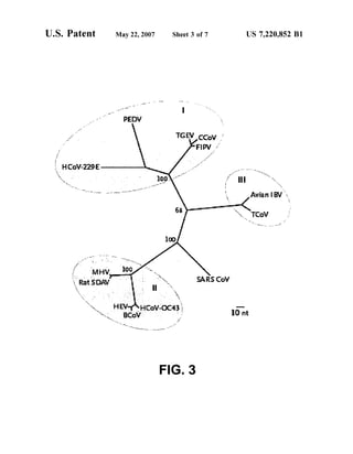 U.S. Patent May 22, 2007 Sheet 3 of 7 US 7,220,852 B1
Ratsow Y. SARscov
Y-SHcov-ocA3
s. BCow . Ort
sms sm.'
FIG. 3
 