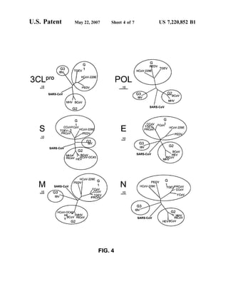 U.S. Patent May 22, 2007 Sheet 4 of 7 US 7,220,852 B1
SARS-CoV
SARS-CoV
HCoV-229E
SARS-CoV
HCOV-229E G
PEOW
SARS-CoV
SARS-CoV
FIG. 4
 