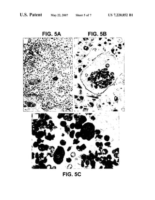U.S. Patent May 22, 2007 Sheet S of 7 US 7,220,852 B1
SS
sr
..
 