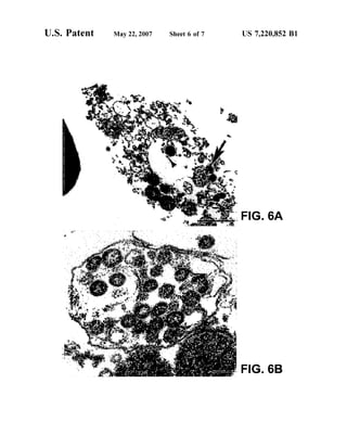 US 7,220,852 B1Sheet 6 of 7May 22, 2007U.S. Patent
 