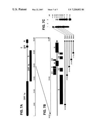 US 7,220,852 B1Sheet 7 Of 7May 22, 2007U.S. Patent
O'09000'92100'0Z
 