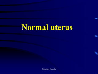 Uturus Graph Ultrasonography of the uterus | PDF