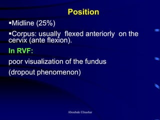 Uturus Graph Ultrasonography of the uterus | PDF
