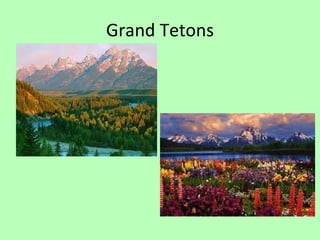 Grand Tetons 