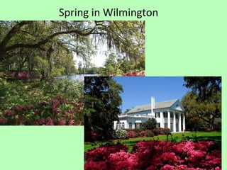 Spring in Wilmington 