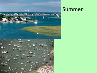 Summer 